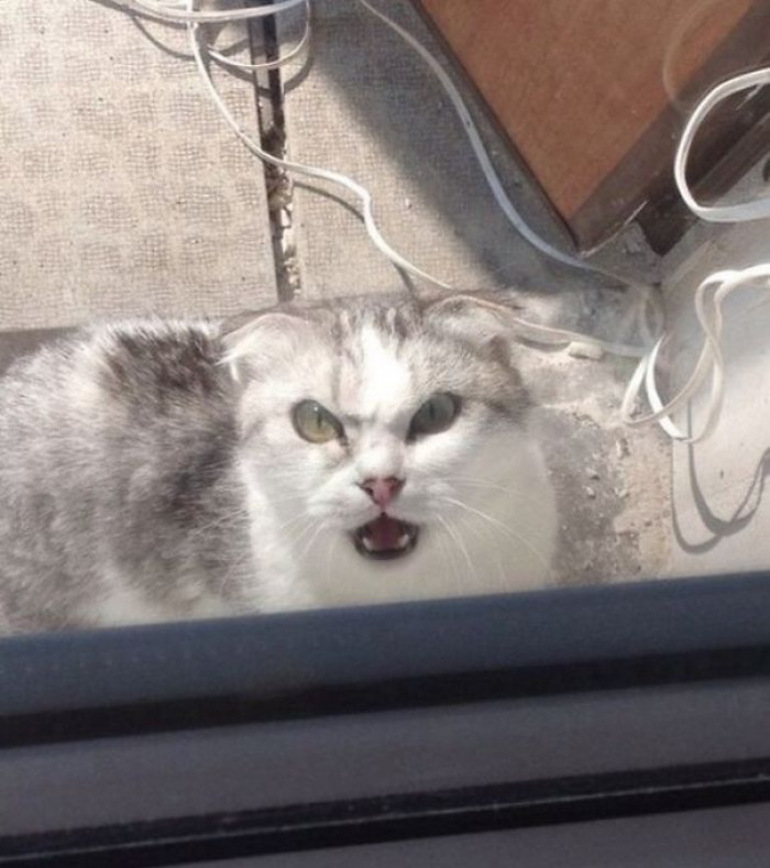 23. "I'm pi$$ed; do you see the look on my face?!"