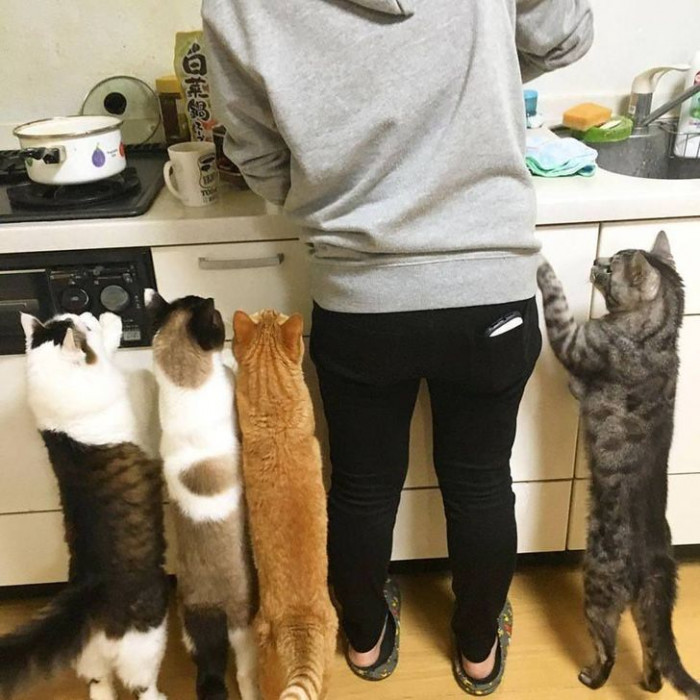 9. Patiently waiting for their breakfast.