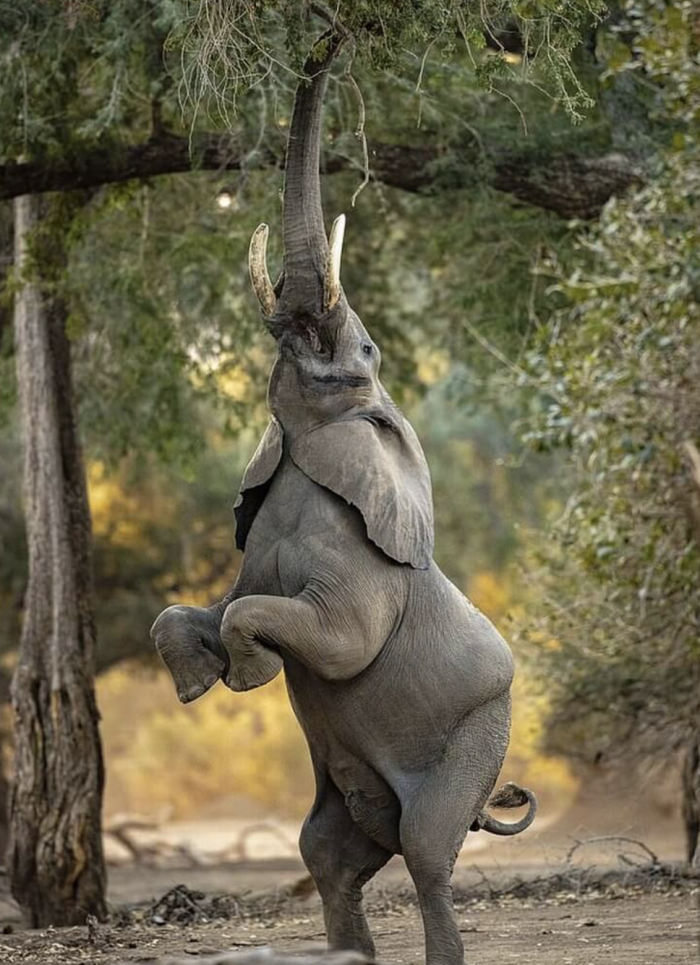 Just within reach...