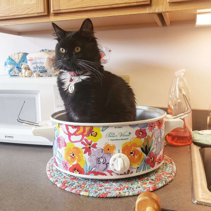 “He's definitely been a comfort through everything this past year.”