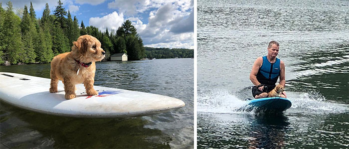48. "Spotted Ms. Finnegan posing on the lake. My cousins just bought the cutest mini golden doodle. 10/10 best surfing prodigy!"