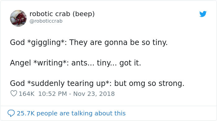 #4 Ants