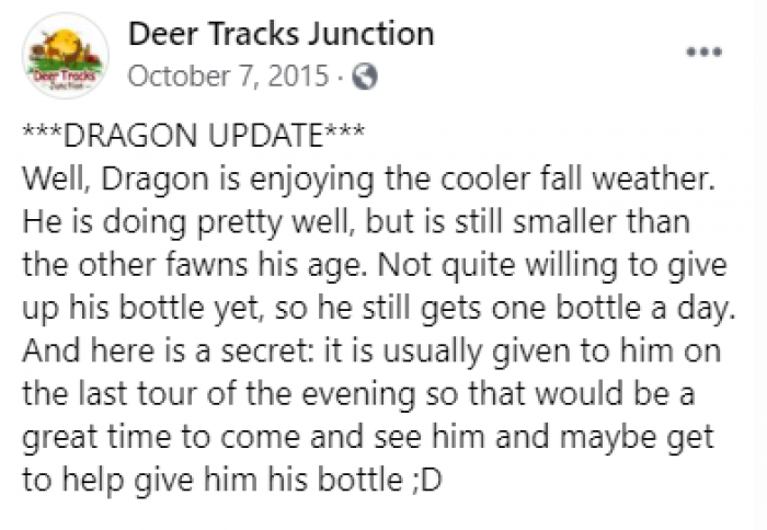 Dragon's mother probably abandoned him because of the piebald, since it leaves deer with limited vision and hearing and thus more vulnerable to predators. 