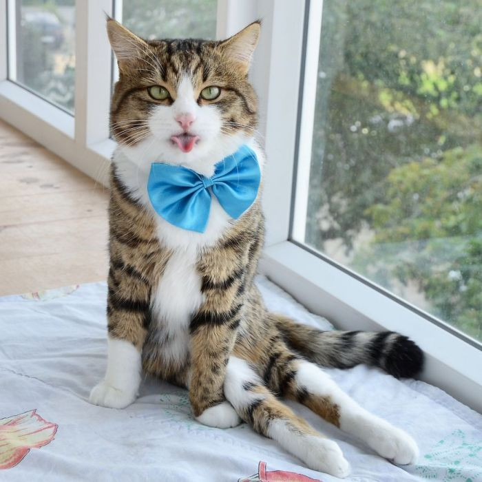 "Ey gurl, come here and sit next to me"