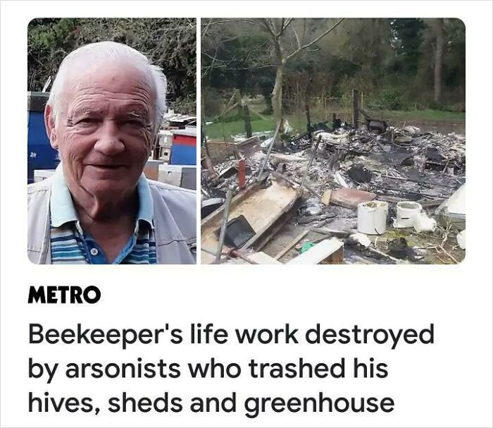 1. years worth of hard work only to be destroyed by arsonists.