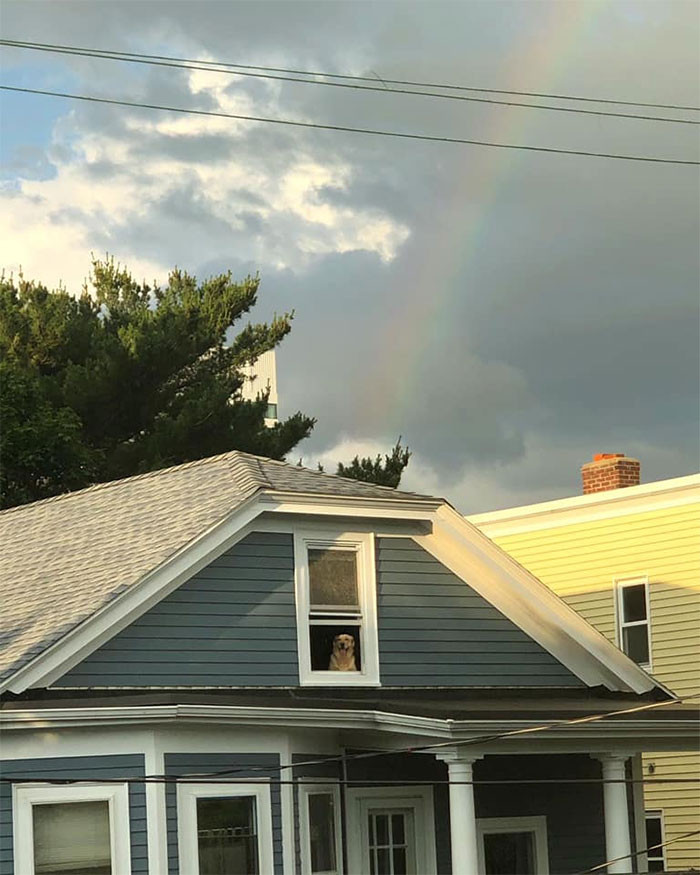 6. "Proof that there is gold at the end of a rainbow!"