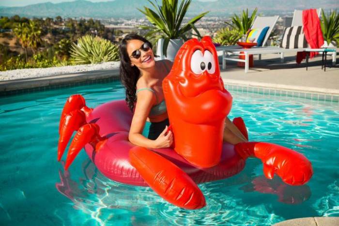 1. There is an adorable Sebastian pool float...