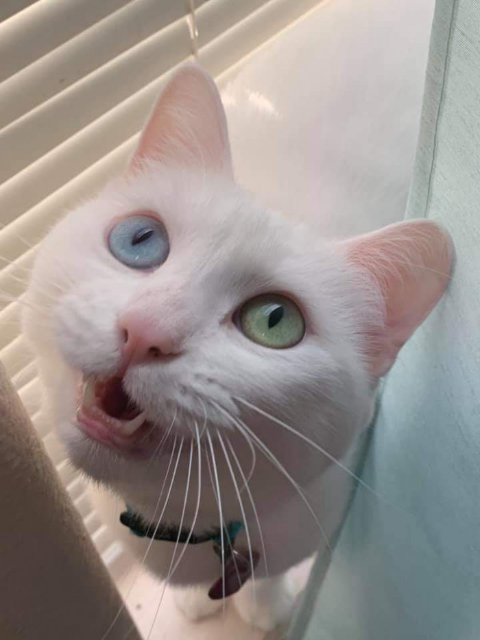 "Betty loves her green and blue eye."
