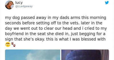 Beloved Dog's Face Seen In The Sky Hours After Her Death Stuns Mourning Woman So Twitter Users Started Sharing Similar Stories
