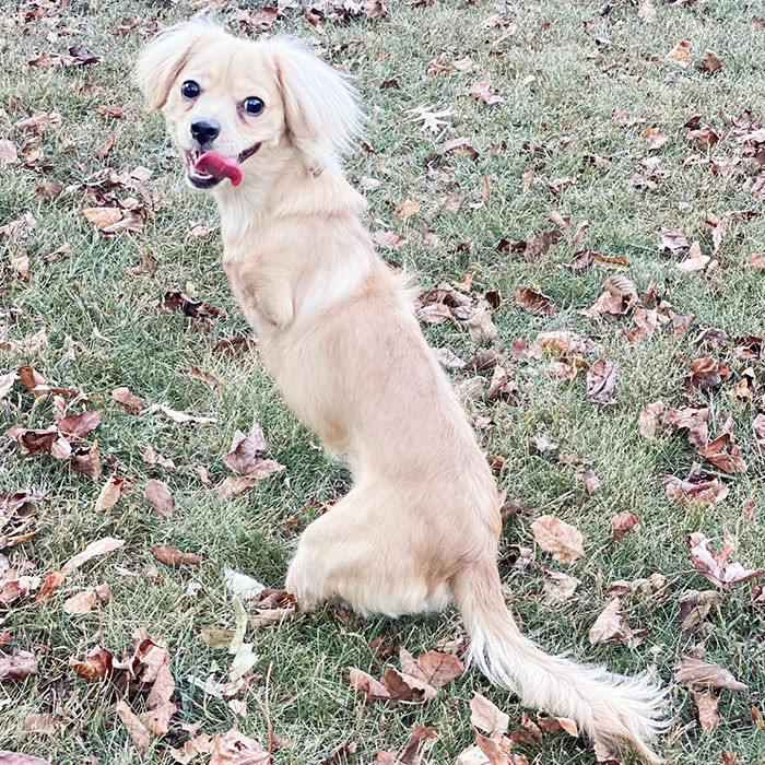 That smile says it all!