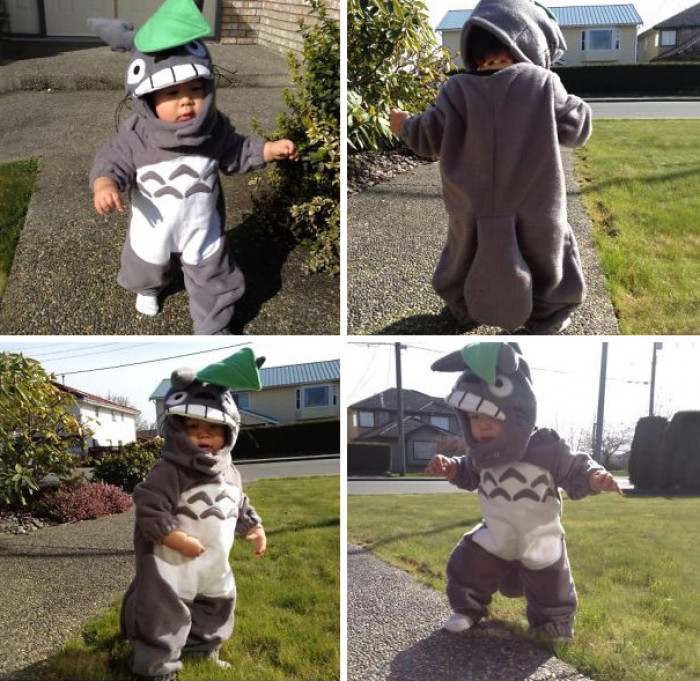 #19 Totoro Costume