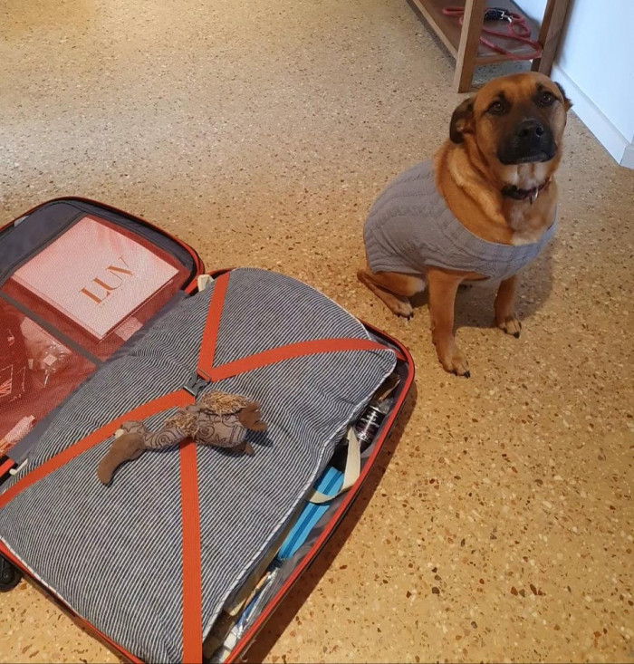 16. "Bonnie put her favorite toy on my packed suitcase... oh man, the feels"
