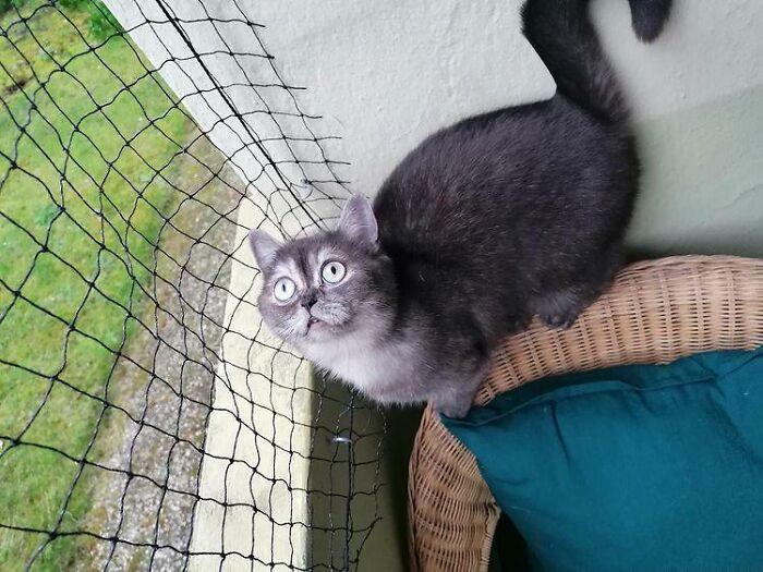 Francisca finds Bean’s unique look perfect, and she's really glad to have her.