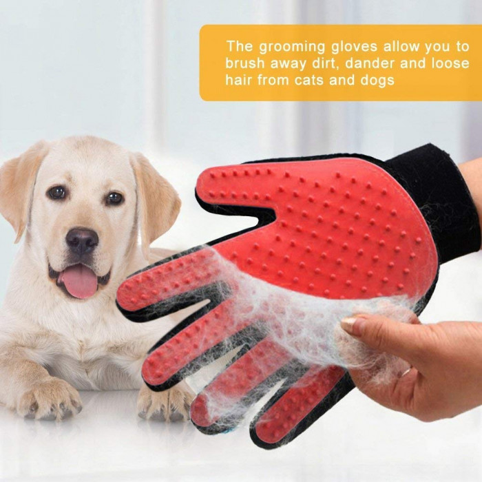 These gloves collect loose hair while you pat your pet