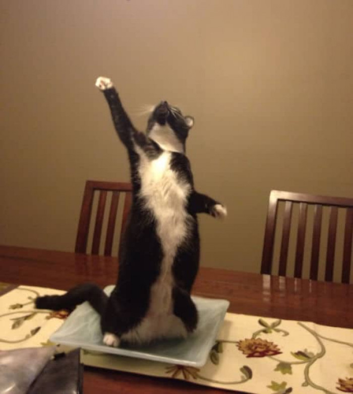4. "All hail the light!"