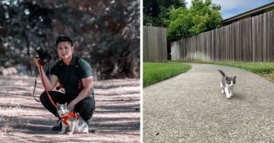 A Stray Kitten Followed This Man Home and Now They Go on Adventures Together