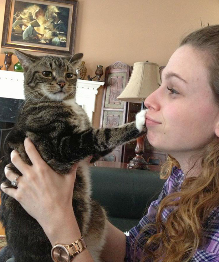 14. "No Human, I Do Not Want Your Love"