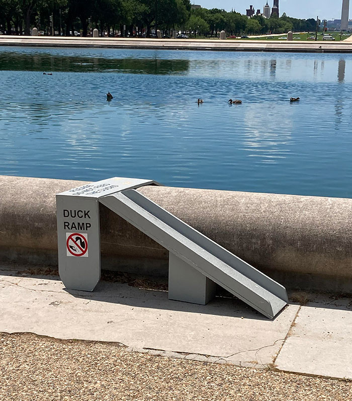 8. This Duck Ramp