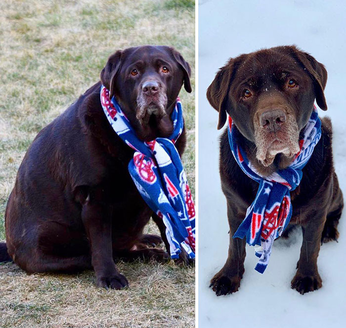 "Before & After: 114 Lbs In 2017 (Halfway Through His Weight Loss Journey) To 75 Lbs In 2019. Looking Good, Shiloh!"