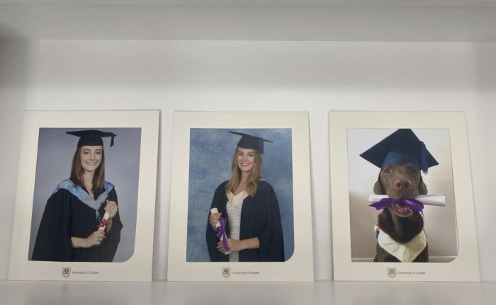 They even hid it in their grandmother's house!