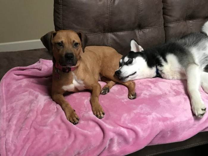 And so they're all waiting patiently