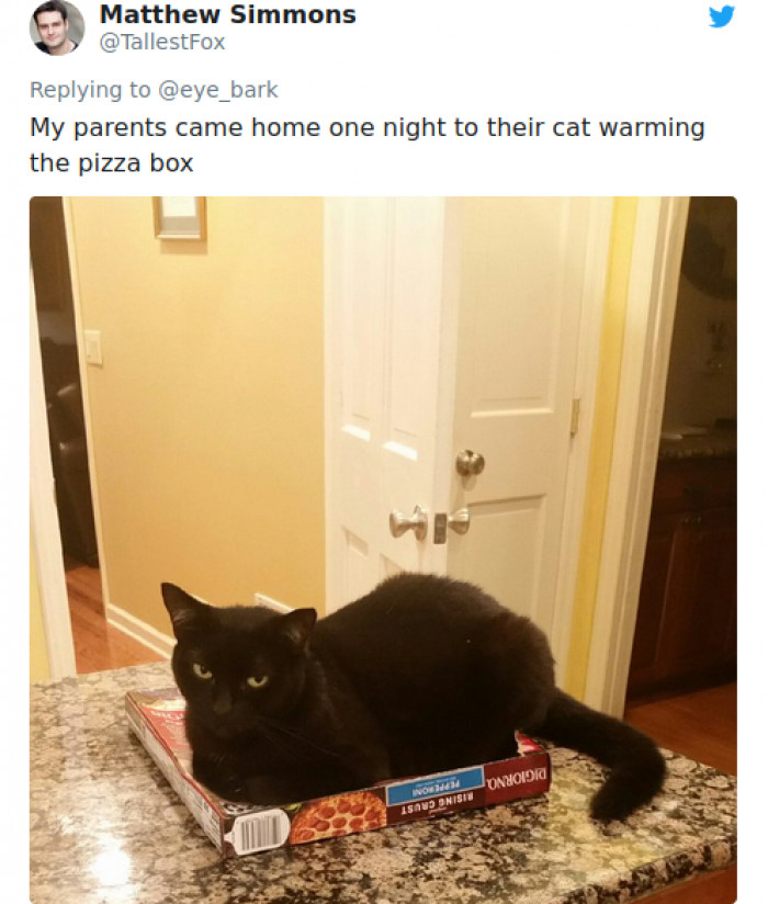 2. "I've got you covered; I know pizza boxes are supposed to be warm."