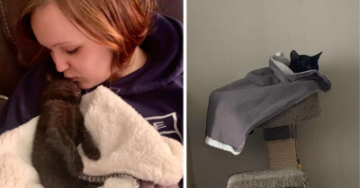 Cat Takes His Comforting “Baby” Blanket With Him Wherever He Goes