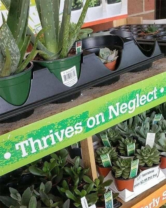 14. Well, it will take over the planet eventually