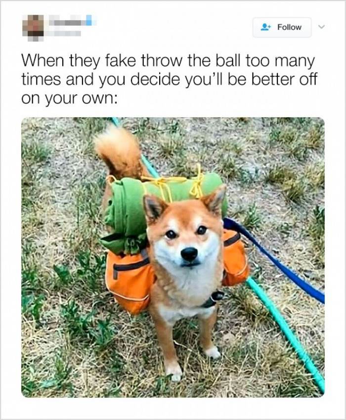 He decided he would be better off on his own