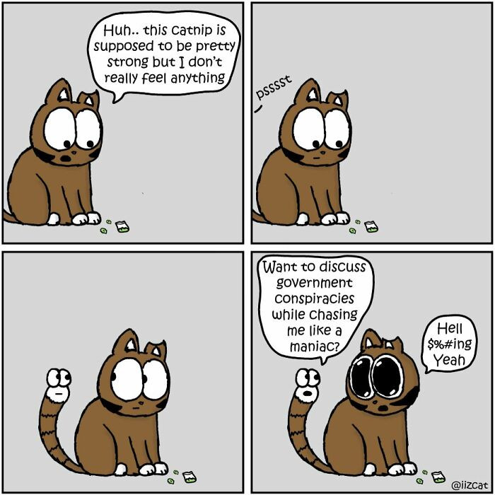 #3 The catnip is weak. Wait...