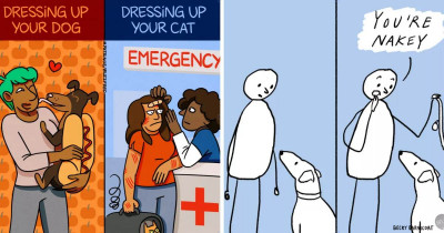 Hilarious Posts From The Weird Side of The Internet That Every Dog Lover Will Adore