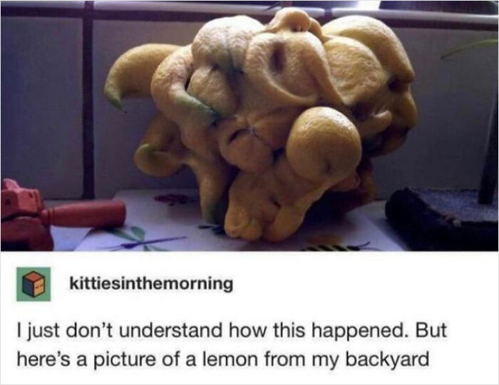 1. Monstrous lemon