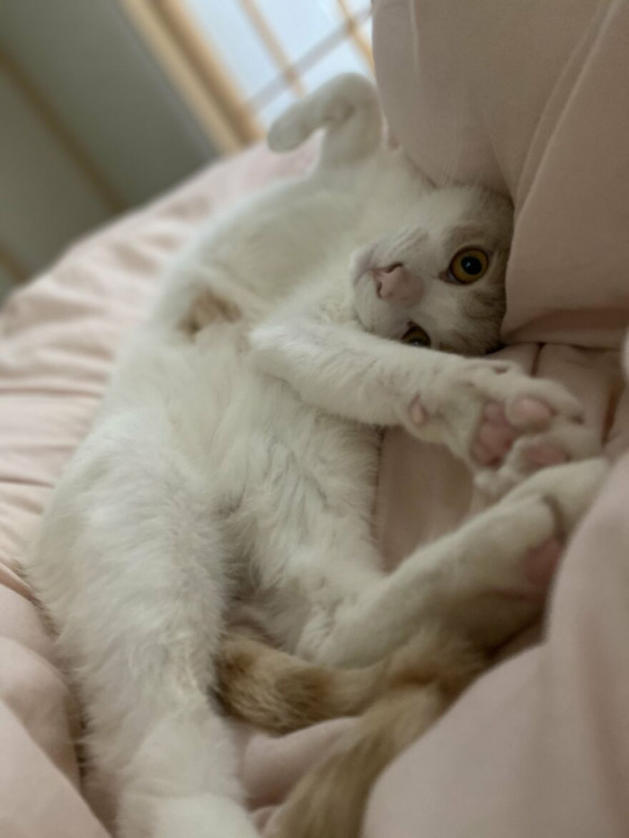 Miru-chan looks cute in the morning.