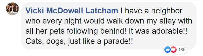 People reacting to the whimsical cat, dog, and bird procession.
