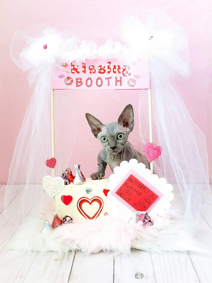 Many of their photo sessions include holiday themes; how could you not love that?