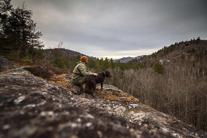 At that time, the veterinarian estimated that Bella had three to six months left to live.