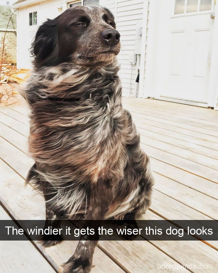 28. Wind=Wisdom