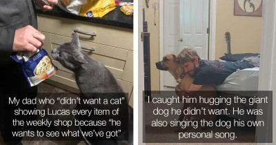 16 Men Who Didn’t Want Pets But Now Can’t Be Apart From Them