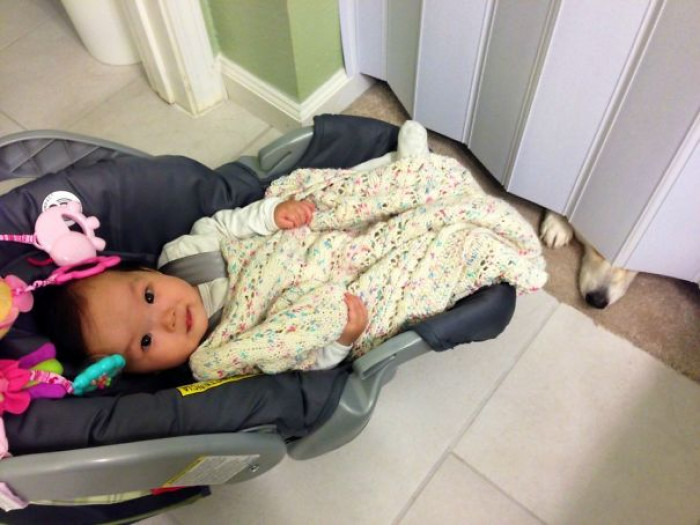 21. "I leave my daughter in the car seat while I shower so I can keep an eye on her. My corgi still loves her, but we don't allow him in the bathroom."