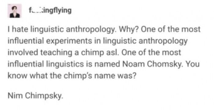 1. They saw the chance, took it, and flied away with it.