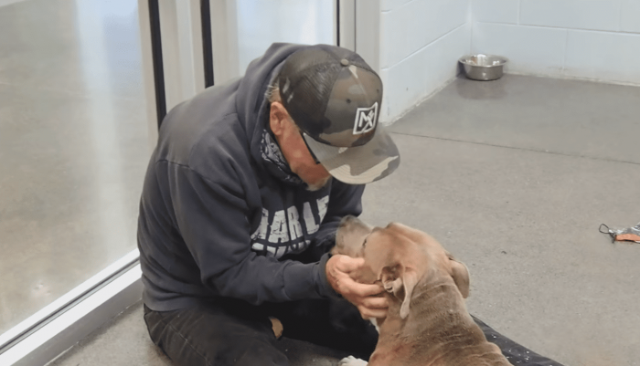 Blue was shocked upon seeing his dad for a split second.