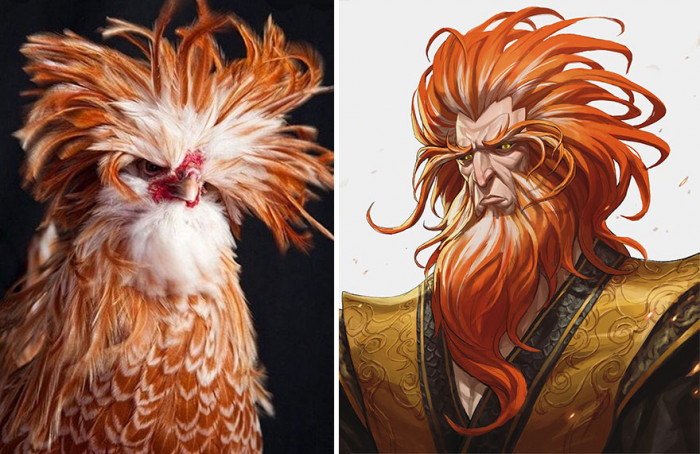 1. This Polish Chicken would make a pretty neat anime character