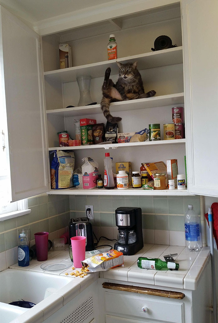 A majestic sight to behold first thing in the morning.