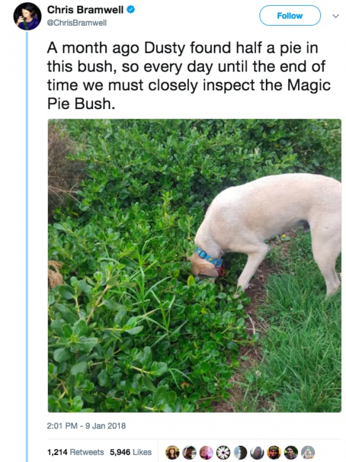 1. The magic pie bush that holds loads of treasures.