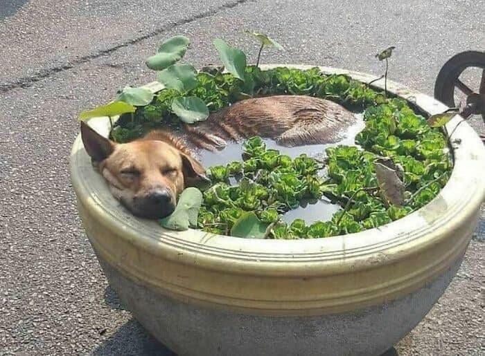 20. A free bath!