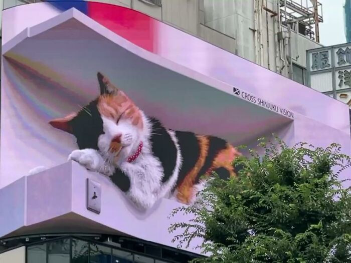 MicroAd Digital Signage and Yunika Vision developed the cat for and under the supervision of Cross Space, who owns the building. Their goal is to display the 