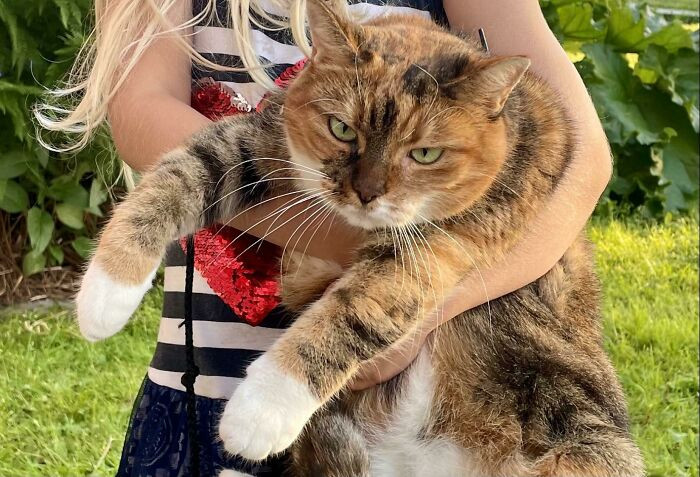 24. The neighborhood kid insists my cat must love her back because she loves him. Well, that is my cat's love for her