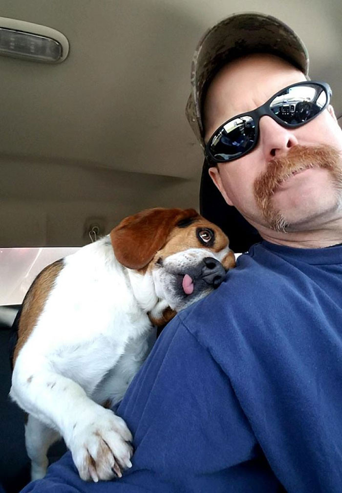 Beagle Can't Contain His Gratitude After Man Rescues Him From A Deadly  Shelter