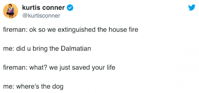 I need to see the dog.
