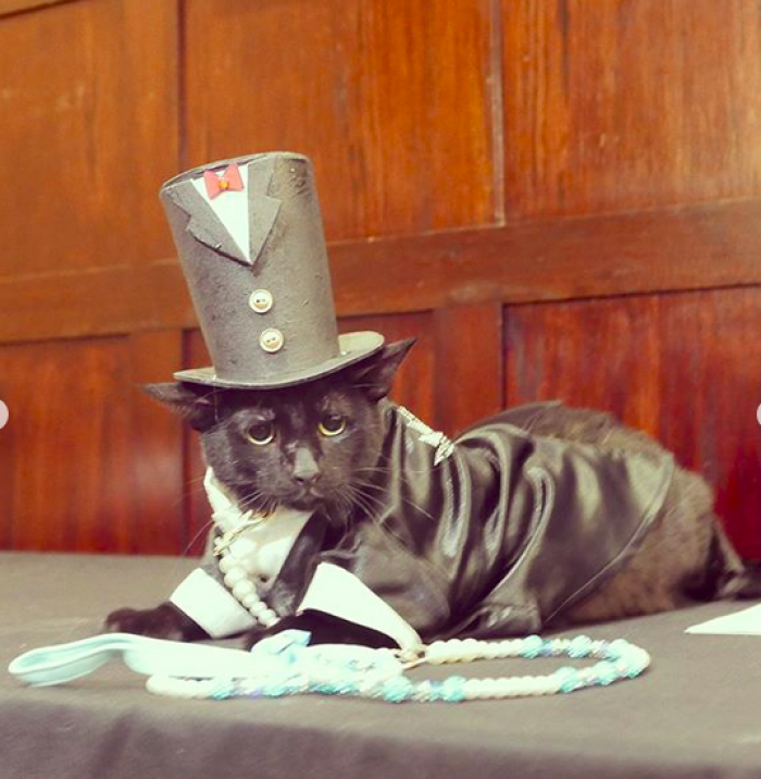 3. Classy Little Fella